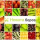 Продавам зелен пипер
